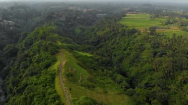 Sanatçılar Walk - Campuhan Ridge yürümek Bali Adası Ubud köyde hava atış. Bütün Ubud köyü panoramik çekim Bölüm 1.