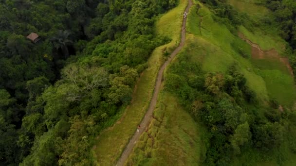 Foto aérea de la caminata de artistas Campuhan Ridge Walk en el pueblo de Ubud en la isla de Bali. Paseo por la cima de la colina con dos barrancos en los que fluye el río . — Vídeo de stock