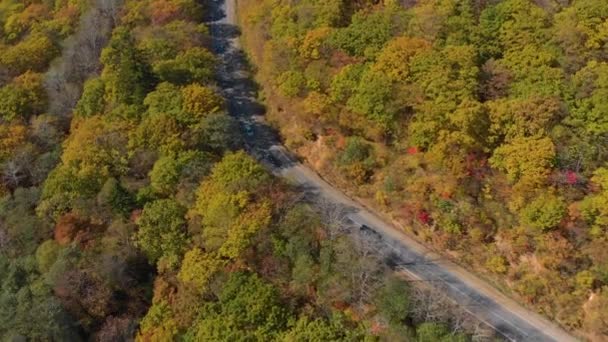 Concepto de otoño. Foto aérea de un camino entre colinas con muchos árboles de color amarillo y rojo que rodean el camino — Vídeo de stock