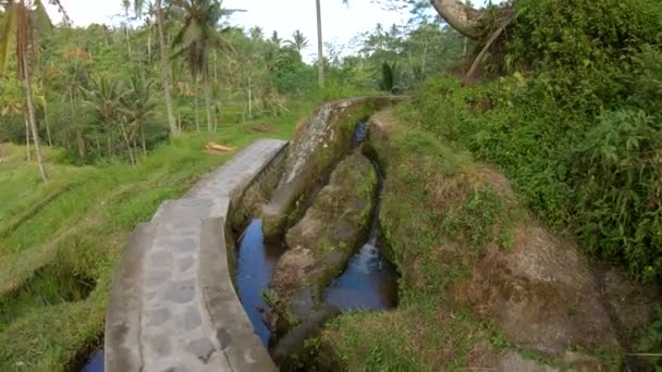 巴厘岛贡农卡维寺附近公园的小热带河流慢动作拍摄道路 — 图库视频影像