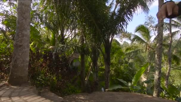 Zeitlupenaufnahme eines kleinen Jungen, der auf einer Schaukel im tropischen Dschungel schwingt. Kindheitskonzept. Reisen mit Kindern. — Stockvideo