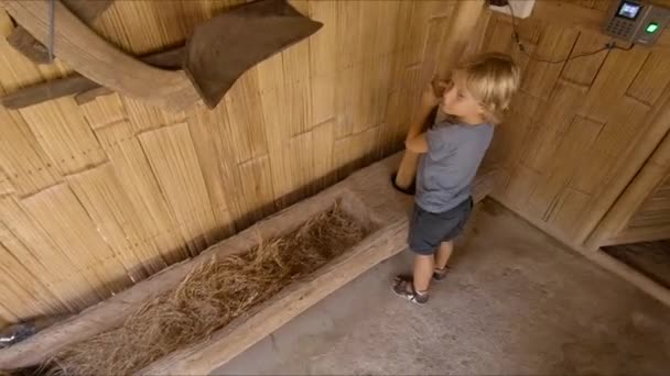 Tikje schot van een kleine jongen speelt met een oude gereedschappen voor rijst behandeling — Stockvideo