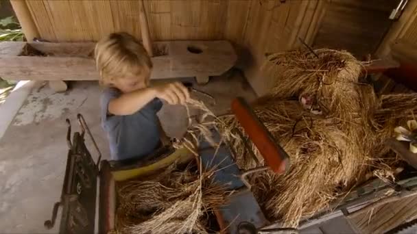 Zeitlupenaufnahme eines kleinen Jungen, der mit einem antiken Werkzeug zur Reisbehandlung spielt — Stockvideo