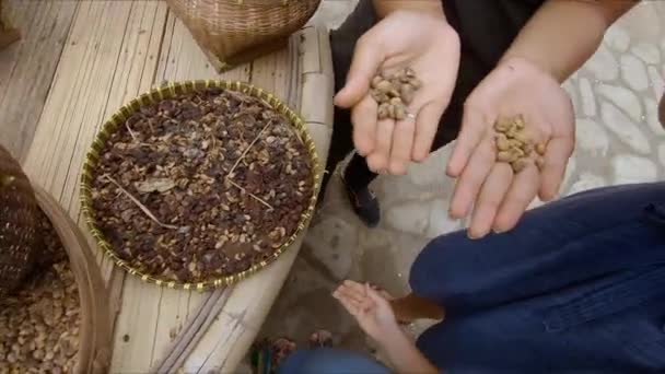 Demostración de diferentes tipos de café y especias en una granja de café tropical — Vídeo de stock