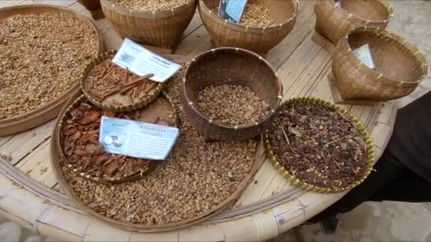 Demonstration av olika sorters kaffe och spicaes på en tropisk kaffe gård — Stockvideo