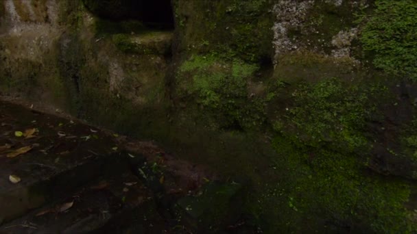 巴厘岛贡农卡维神庙的慢镜头 — 图库视频影像