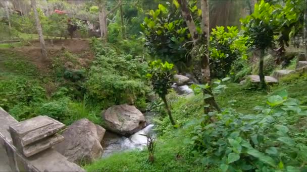 Slowmotion πυροβολισμό του ένα μικρό τροπικό ποτάμι σε ένα πάρκο γύρω από το ναό Gunnung Kawi στο νησί Μπαλί — Αρχείο Βίντεο