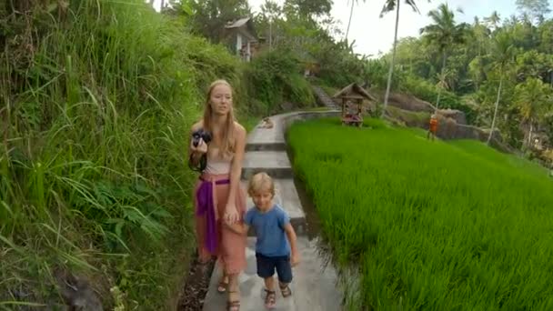 Tikje schot van een jonge vrouw en haar zoontje lopen onder veld rijstvelden — Stockvideo