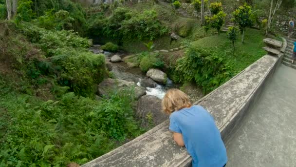 Tikje schot van een kleine tropische rivier in een park rond de Gunnung Kawi tempel op het eiland Bali — Stockvideo