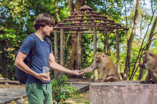 The man feeds the monkey whith nuts — Stock Photo, Image