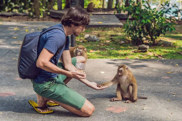 Adam Maymun Whith Fındık Beslenir — Stok fotoğraf