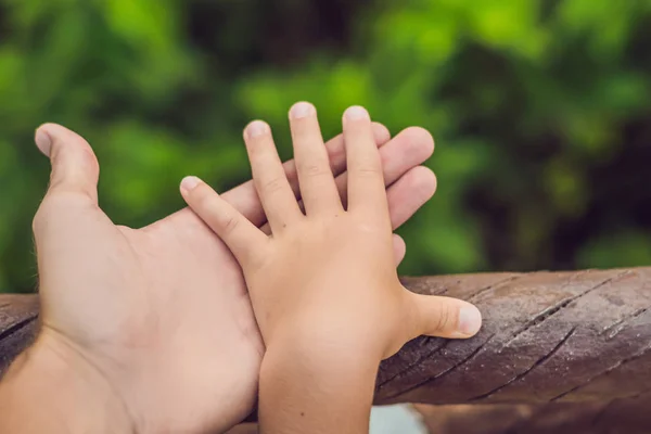 Отцы руки привести своего ребенка сына в летний лес природу на открытом воздухе, доверие концепции семьи — стоковое фото