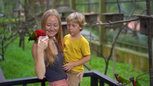 Super slowmotion skjuten av en mor och son i en fågelpark foder en grupp av gröna och röda papegojor med en mjölk — Stockvideo