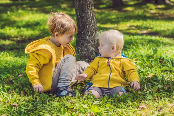 Twee gelukkige broers in gele sweatshirts in het najaar park — Stockfoto