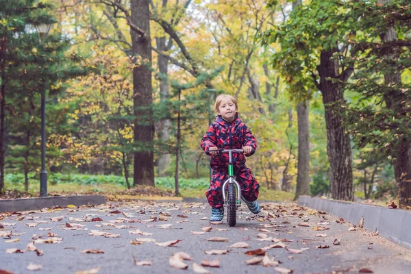 Menino se divertindo em bicicletas na floresta de outono. Foco seletivo no menino — Fotografia de Stock
