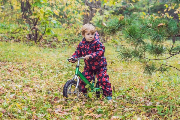 Little boy having fun on bikes in autumn forest. Selective focus on boy — Stock Photo, Image