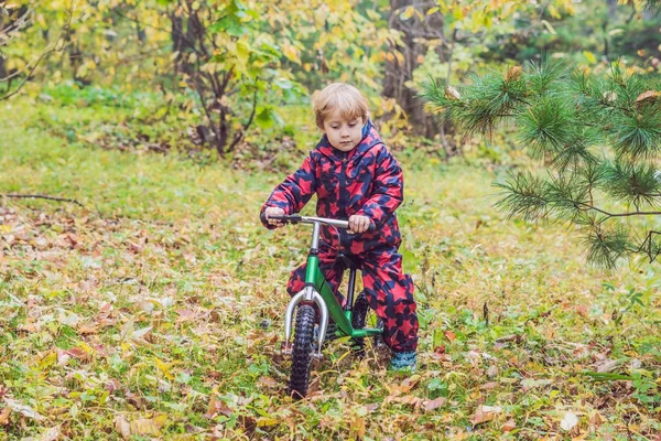 Мальчик веселится на велосипедах в осеннем лесу. Селективный акцент на мальчике — стоковое фото