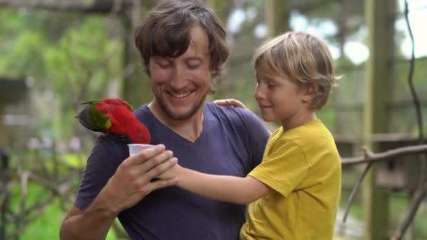 Отец и сын в птичьем парке кормят красного попугая, сидящего на плече отцов с молоком — стоковое видео