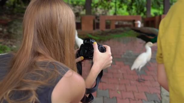 Steadicam skott av en ung kvinna och hennes lille son besöker en fågelpark. Kvinna tar bilder av fåglar — Stockvideo