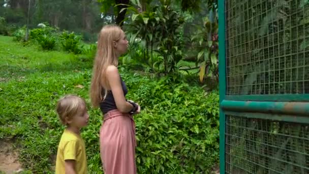 Steadicam tiro de uma jovem mulher e seu filho visitando um parque de pássaros — Vídeo de Stock