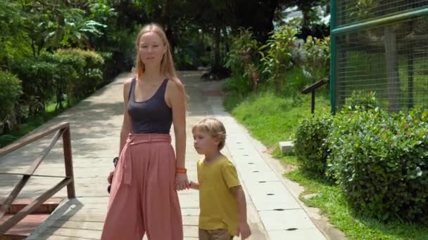 Steadicam πλάνο του μια νεαρή γυναίκα και το μικρό γιο της επισκέπτονται ένα πάρκο πουλιών — Αρχείο Βίντεο