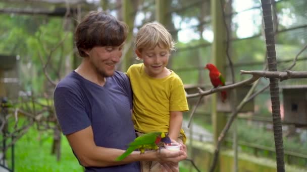 Super rallentamento colpo di un padre e un figlio in un parco di uccelli nutrire un pappagallo verde seduto sulla mano padri con un latte — Video Stock