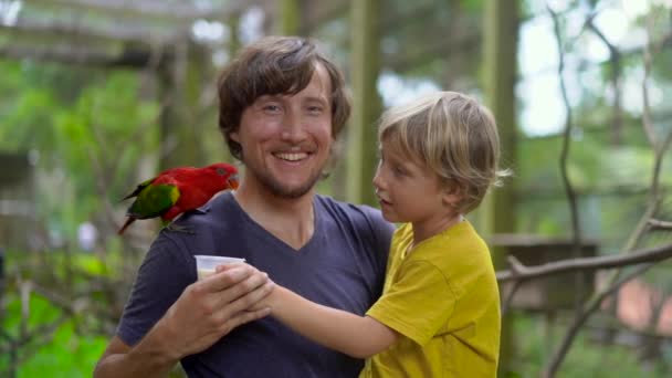 Супер медленный снимок отца и сына в птичьем парке кормит красного попугая, сидящего на плече отцов с молоком — стоковое видео