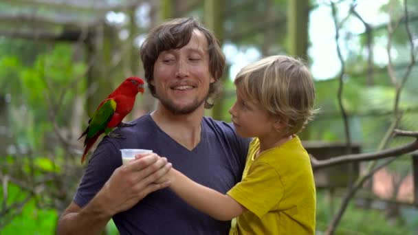 在鸟类公园里 一对父子的超级慢镜头给坐在父亲肩膀上的一只红色鹦鹉喂牛奶 — 图库视频影像