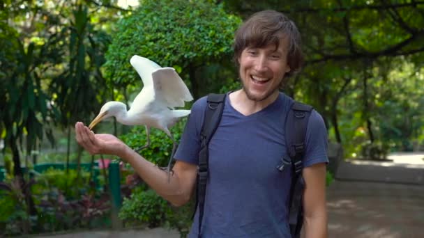 Super slow motion tiro de um jovem se divertir em um parque de pássaros e alimentar garças brancas de sua mão — Vídeo de Stock