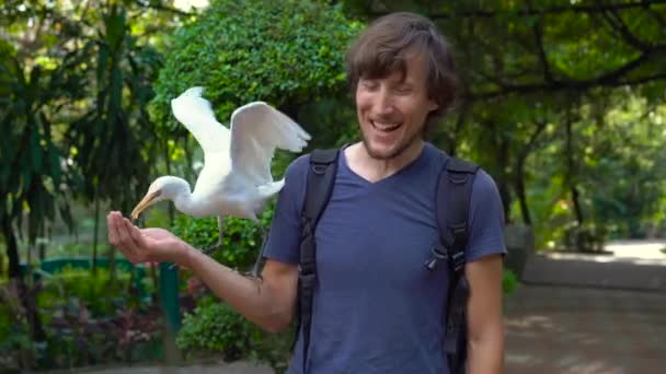 Giovane uomo divertirsi in un parco di uccelli e nutrire aironi bianchi dalla sua mano — Video Stock