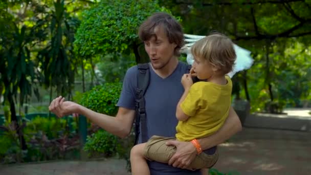 젊은 남자와 그의 작은 아들의 슈퍼 slowmotion 총 조류 공원에 재미가 있고 그들의 손아귀에서 백색 왜가리를 피드 — 비디오