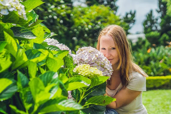 Young woman on the background of light Pink hydrangea blooming in the garden — Stock Photo, Image