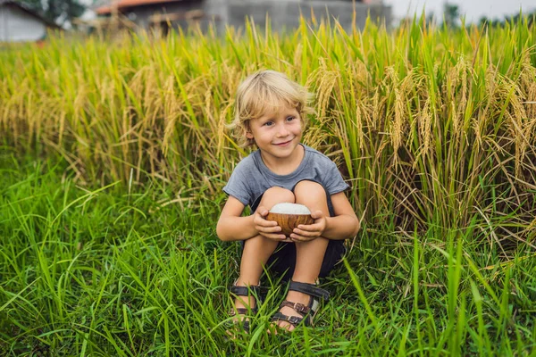 Çocuk olgun pirinç alanının arka planda ahşap bir bardağı haşlanmış pirinç bir fincan götürüyor. Çocuk kavramı için gıda — Stok fotoğraf