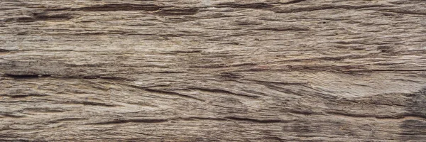 Very Old Wood Background, closeup. wood texture BANNER, LONG FORMAT — Stock Photo, Image