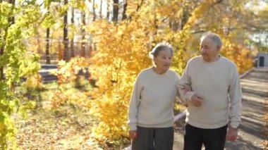 bir yaşlı çift geçit yürüme ve birbirlerine güzel sonbahar ortamında bir parkta gülümseyen
