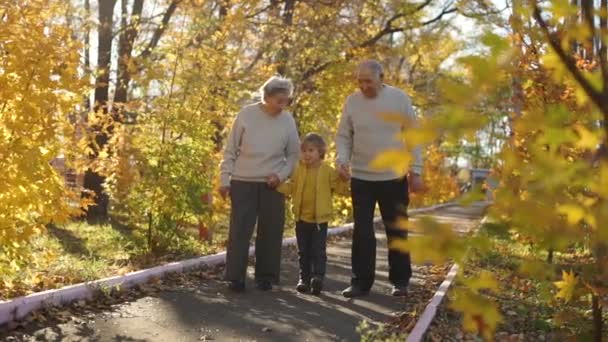 Fotografía en cámara lenta de una pareja de ancianos caminando por la pasarela con su nieto y sonriéndose en un parque en un hermoso ambiente otoñal — Vídeo de stock