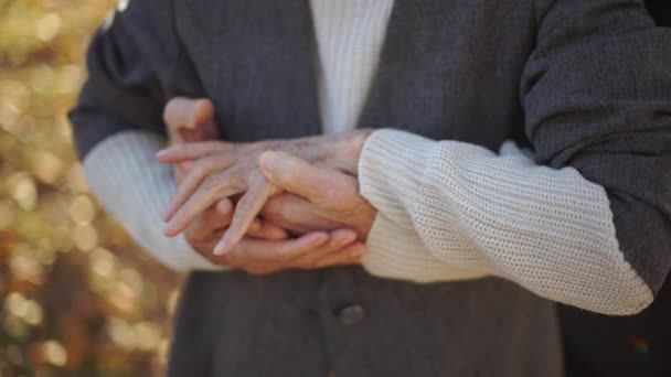 Hidastettu kuva vanhasta pariskunnasta halaamassa puistossa kauniissa syksyn ympäristössä — kuvapankkivideo