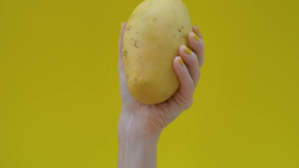 Fotografía en cámara lenta de una mujer con uñas de color amarillo sosteniendo un mango sobre un fondo amarillo — Vídeos de Stock