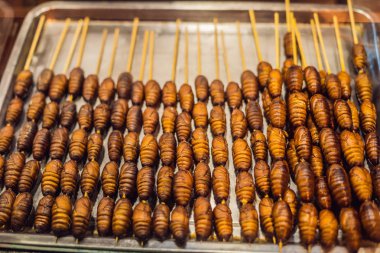 Izgara ve kızarmış ipekböceği pupa Stick Wangfujing Caddesi, Beijing, Çin