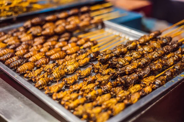 Grill and fried silkworm pupae on stick from Wangfujing street at Beijing, China — Stock Photo, Image