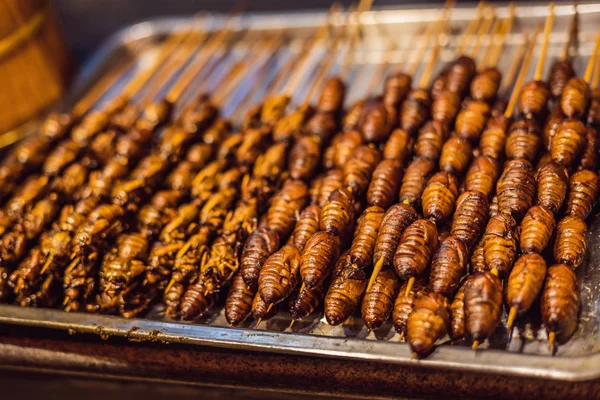 Grill and fried silkworm pupae on stick from Wangfujing street at Beijing, China — Stock Photo, Image