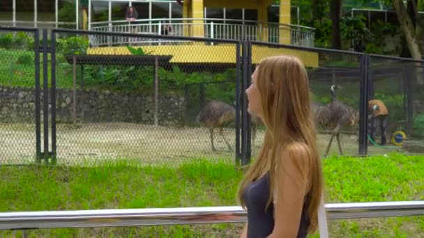 Steadicam Shot Young Woman Wisiting Bird Park Looking Ostriches — Stock Video