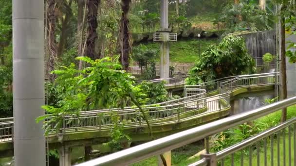 Steadicam shot of a bird park with a waterfall and long walkways in tropics — Stock Video