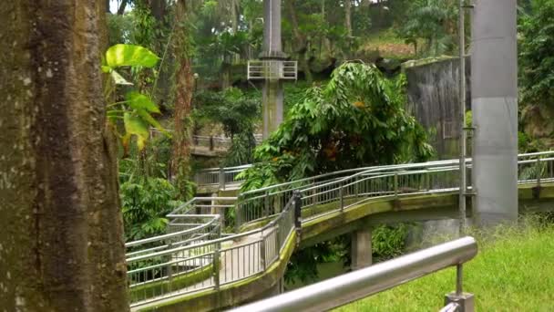 Scatto Steadicam di un parco di uccelli con una cascata e lunghe passerelle ai tropici — Video Stock