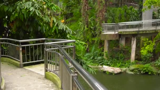 Steadicam strzał ptasi park z wodospadem i długo chodniki w tropikach — Wideo stockowe