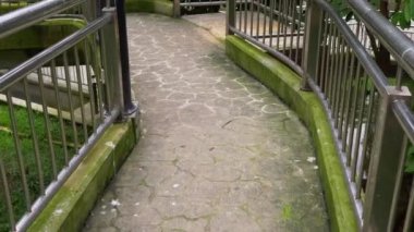 Steadicam bir şelale ve tropik içinde uzun yürüyüş yolları ile Kuş Parkı bir kadeh. Kamera bir köşk üstüne oturan bir pelikan ortaya koymaktadır.