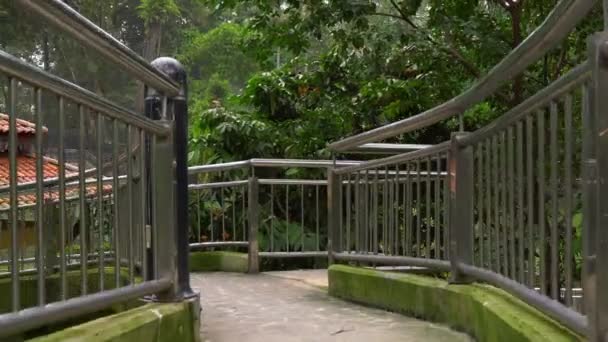 Steadicam shot van een vogelpark met een waterval en lange voetpaden in de tropen. Camera onthult een pelikaan zit op de top van een paviljoen — Stockvideo