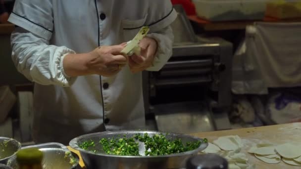 Handhållna skott av kinesiska kockar matlagning berömda kinesiska dumplings med olika fyllningar. Resa till Kina koncept. Kinesisk matkoncept. — Stockvideo