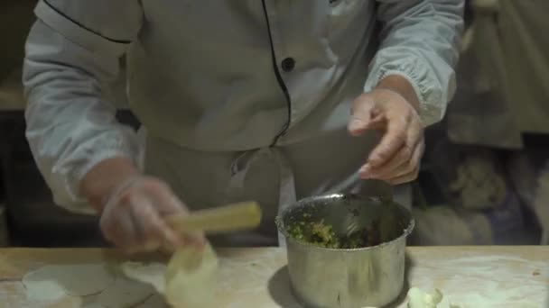 Φορητό πυροβολισμό των κινεζικών μαγειρεύει μαγείρεμα διάσημα κινέζικα ζυμαρικά με διάφορες γεμίσεις. Ταξίδι στην Κίνα έννοια. Έννοια των κινεζικών τροφίμων. — Αρχείο Βίντεο