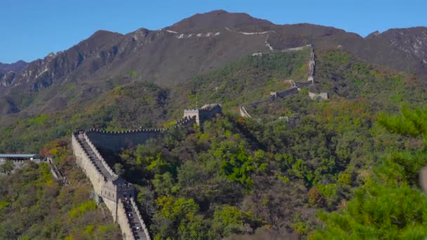 Slowmotion steadicam disparo de la Gran Muralla de China que se eleva por el lado de la montaña en un comienzo de otoño. Cámara se mueve hacia abajo . — Vídeo de stock